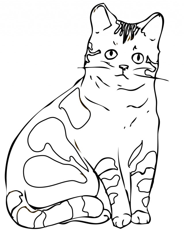 640x828 Garfield Realistic Cat Coloring Pages 30965,