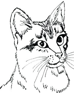313x395 Great Free Coloring Pages Cats Print Realistic Cat Page Download