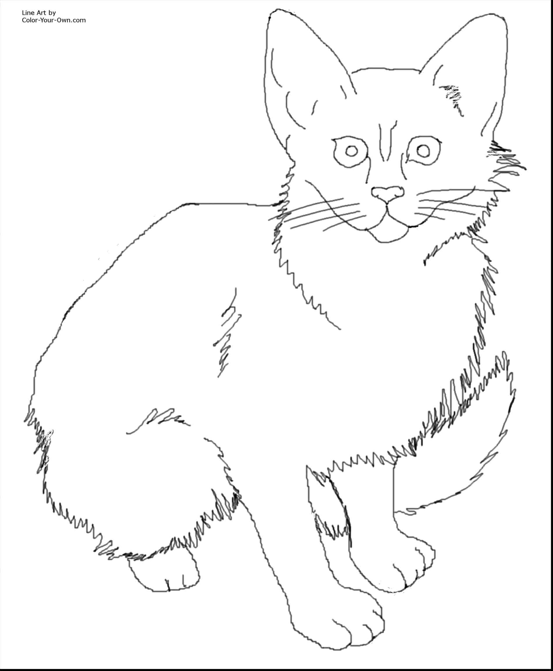 1900x2305 Coloring Baby Kittens Coloring Pages