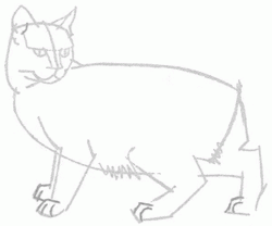 250x208 Exam Guide Online