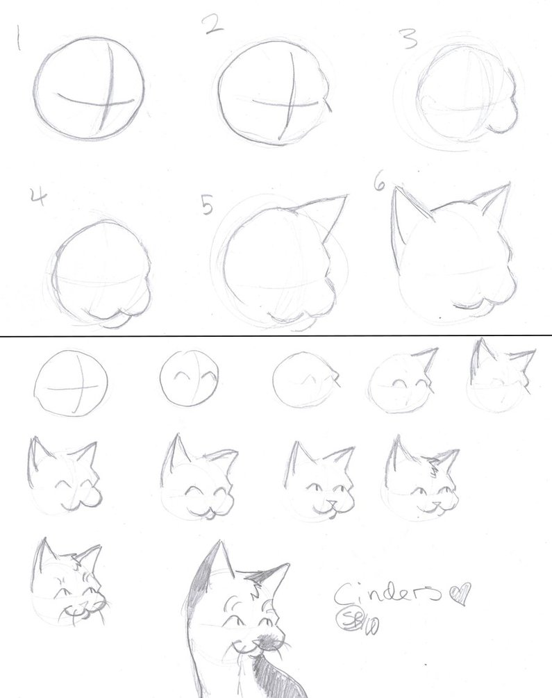 795x1005 Guide To Drawing Cats Part 1 By Freelancertex78
