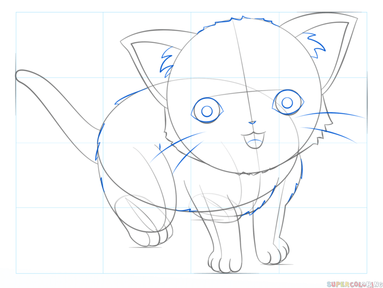 765x575 How To Draw An Anime Cat Step By Step Drawing Tutorials
