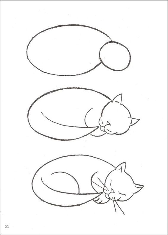 564x792 Sleeping Cat Step By Step Easy Drawings Anima E Cat Drawings Easy