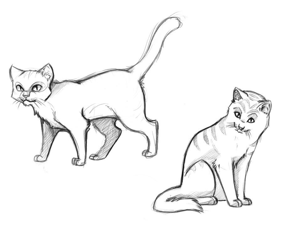 909x761 Cats That Look Like Real Cat Coloring Pages For Kids