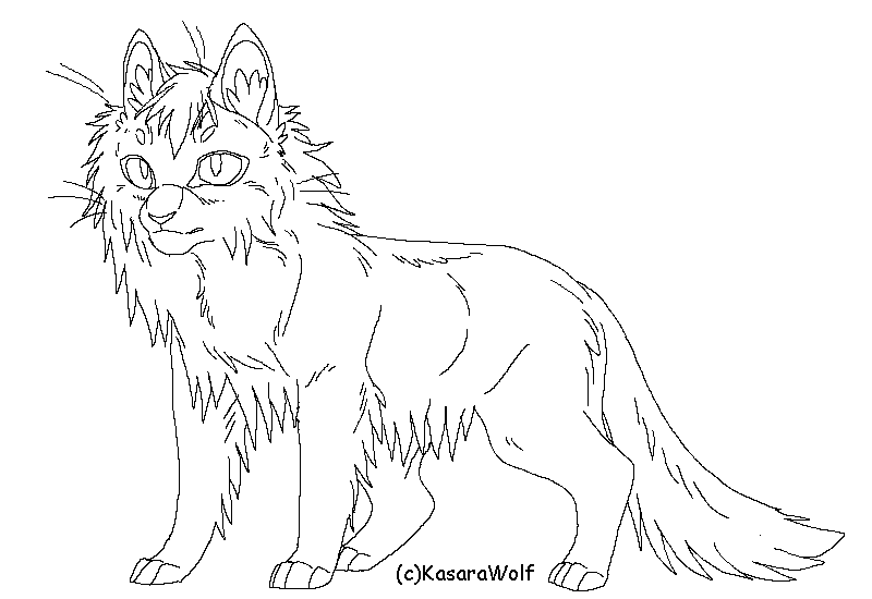 800x550 Warrior Cats Couple Template By Kasarawolf