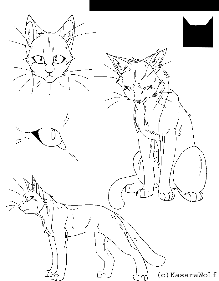 700x900 Warrior Cats Cs Template By Kasarawolf