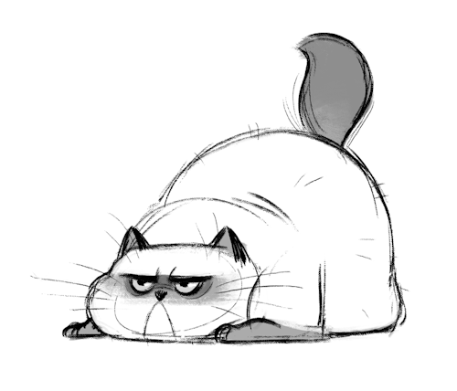 500x428 Daily Cat Drawings 615 Frumpy Cat Today Was Frump. I'M Ready