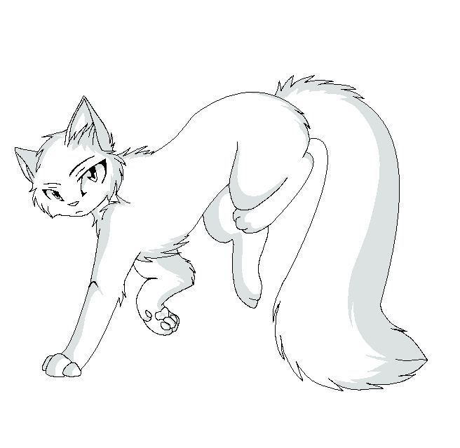 656x639 Drawn Cat Outline Drawing