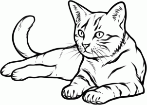 302x216 How To Draw A Cat 9 Steps