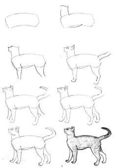 Cat Drawing Tutorial at GetDrawings | Free download