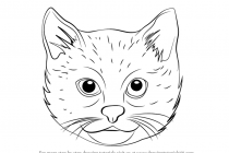 210x140 Cat Faces Drawings Learn How To Draw A Cat Face Cats Step Step