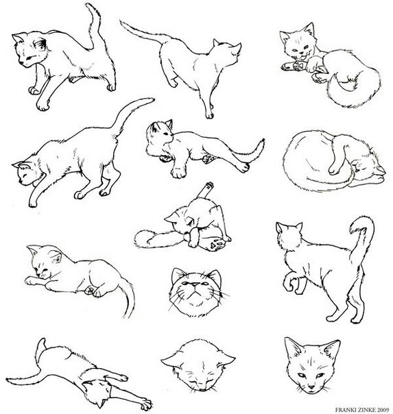573x604 A90 Drawings, Cat And Cat Drawing