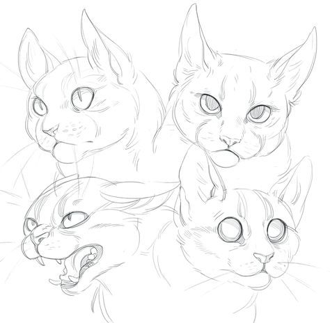 474x464 Cat Doodles By Shade On @