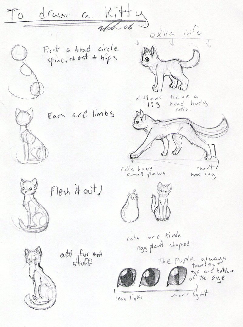 800x1074 Cat Tutorial Old By Frostdragonvacu
