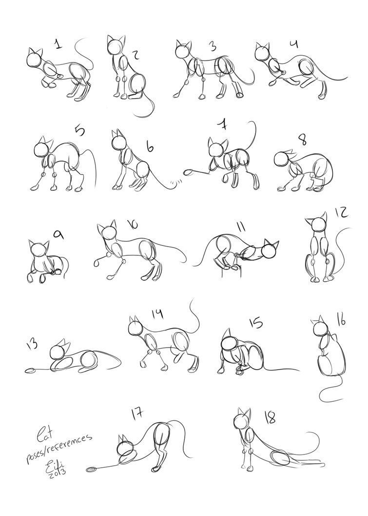 755x1057 Cats Poses References By Eifi Copper