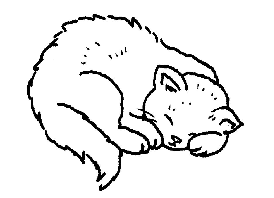 942x680 Colour Drawing Free Wallpaper Cute Cat Coloring Drawing Free