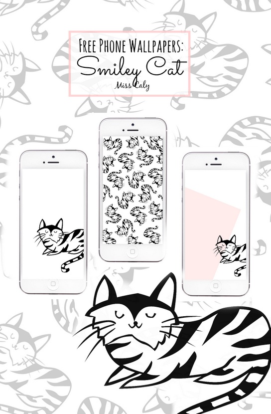 544x830 Free Download Phone Wallpapers! Smiley Cat M I S S C A L Y