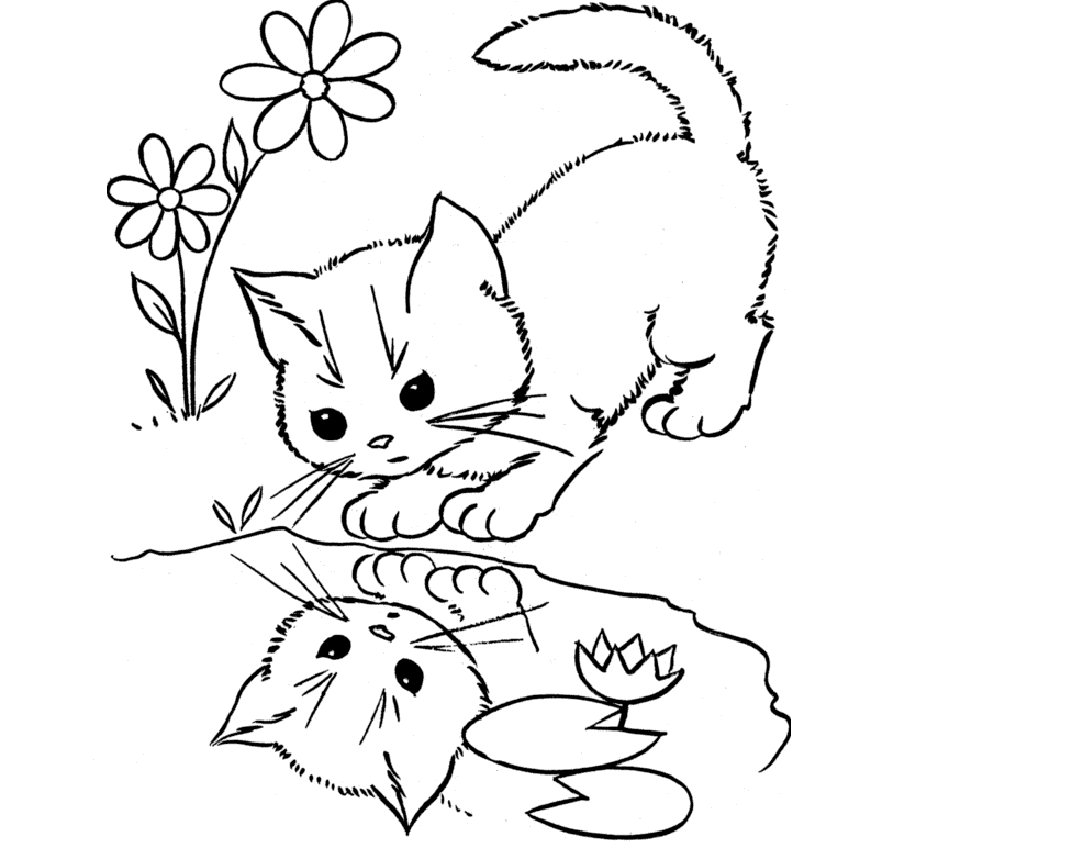 976x772 Colours Drawing Wallpaper Sweet Cat Coloring Colour Drawing Hd