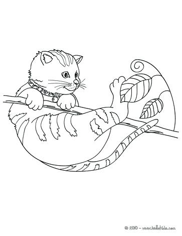 363x470 Excellent Coloring Pages Cats Online Of Kittens Cute Kitten Page