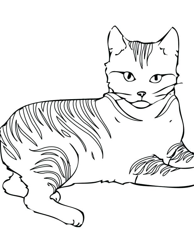 618x800 Warrior Cat Coloring Pages Warriors Cats Coloring Pages Warrior