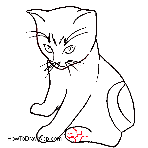 600x600 How To Draw A Cat Sitting Down Step By Step