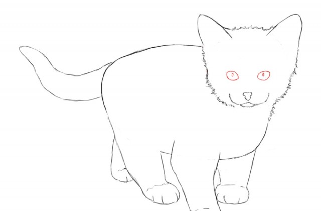 640x420 Tag For Easy To Draw Kittens How To Draw Little Kitten. Scratch