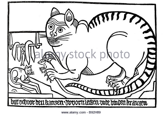 640x448 Cat Eating Rat Stock Photos Amp Cat Eating Rat Stock Images