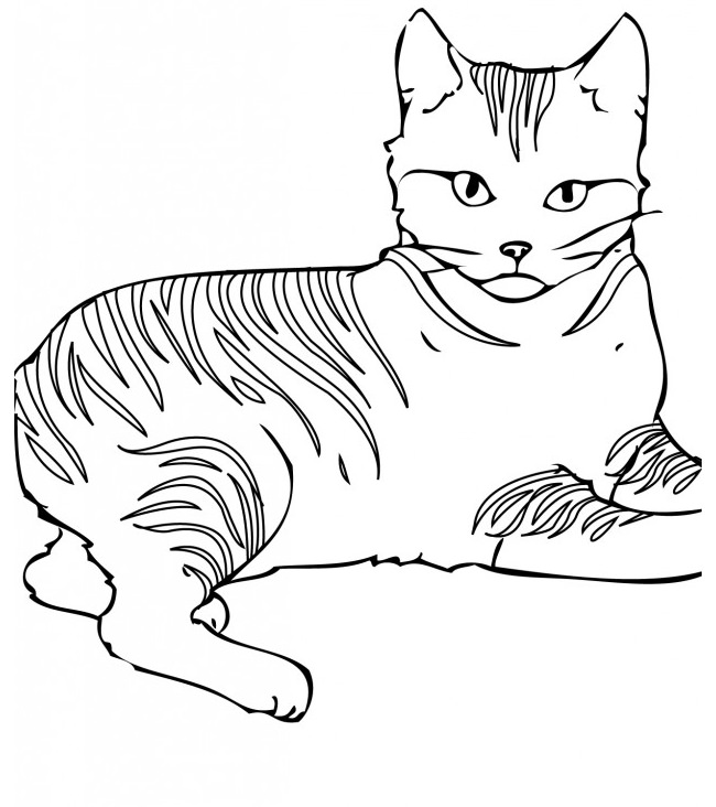 650x732 Cat Shape Template