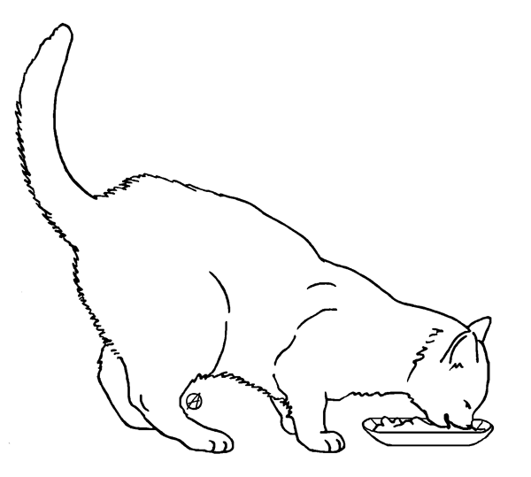 600x539 Order A Personalized Pet Memorial Stone