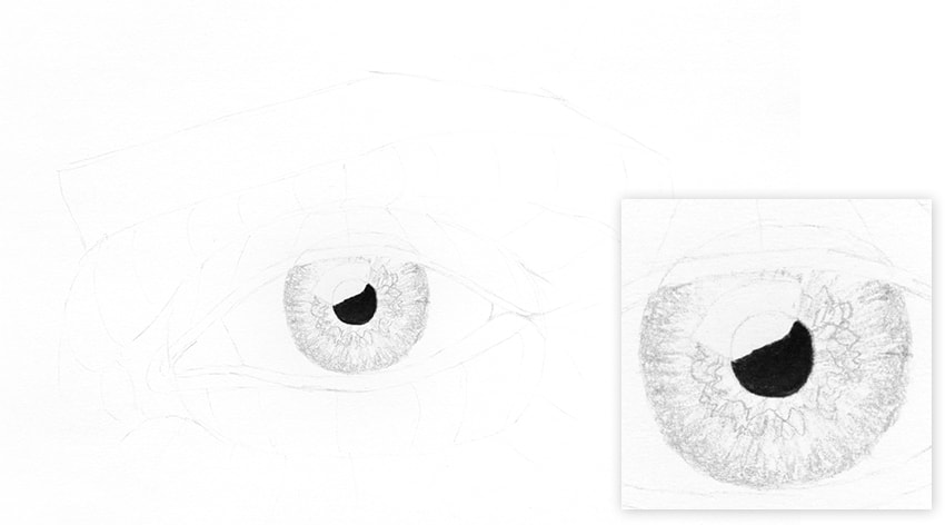 850x472 How To Draw A Realistic Eye