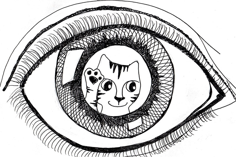 800x531 What A Cat! Eye Of Cat! The Crafty Sisters