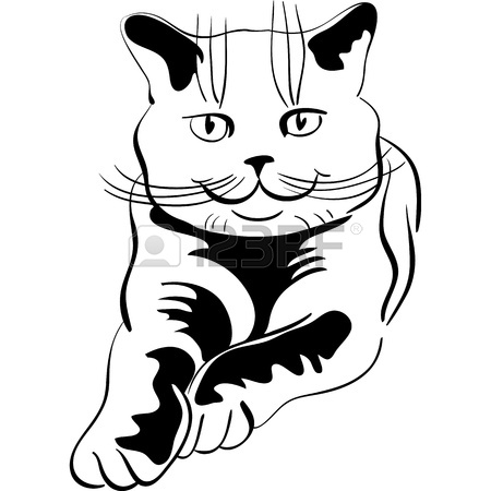 450x450 Hungry Cute White Cat With Yellow Eyes And Empty Bowl, Isolated