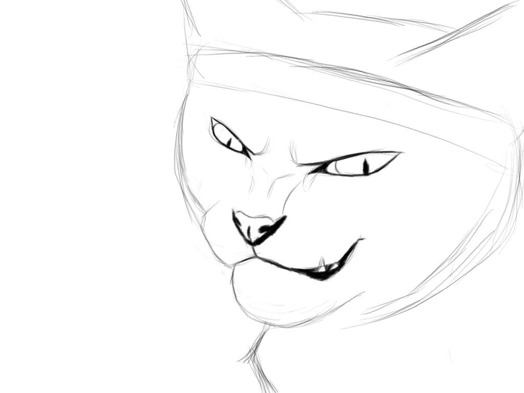 1024x768 Art Tutorial Cat Eyes Warriors Amino