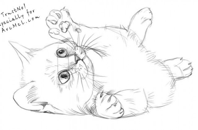 640x420 Tag Cute Drawing Of A Cat How To Draw A Cute Cat Step By