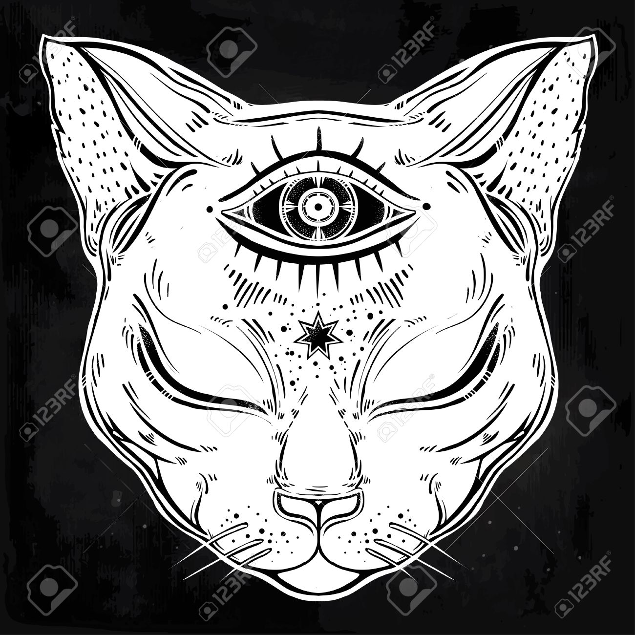 1300x1300 Black Cat Head Portrait With Moon And Three Eyes. Third Eye Is