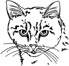 222x212 Cat Rubber Stamps