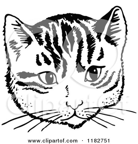 450x470 Cat Face Clipart Black And White