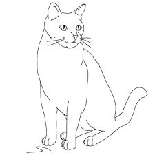 225x225 How To Draw A Cat 9 Steps