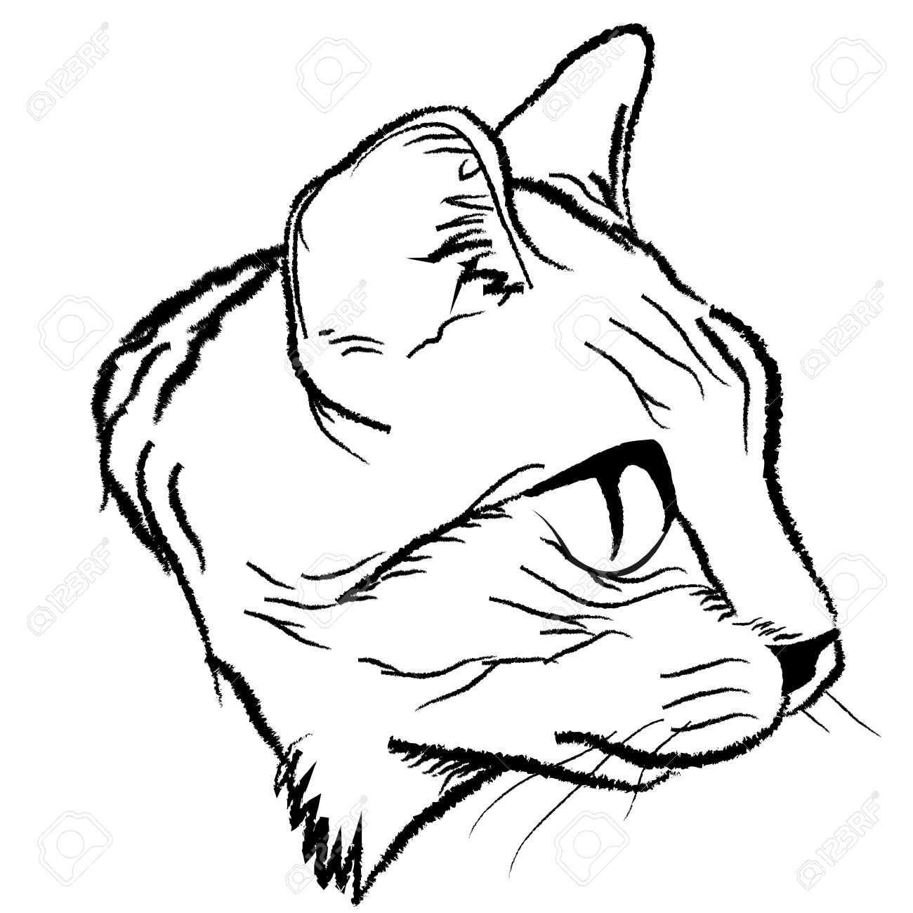 1300x1300 Cat Face Drawing Design By Illustration Royalty Free Cliparts