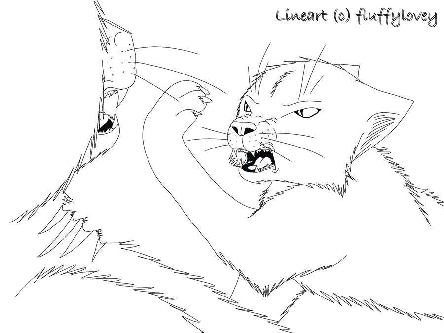 900x675 Free Cat Fight Line Art By Fluffylovey