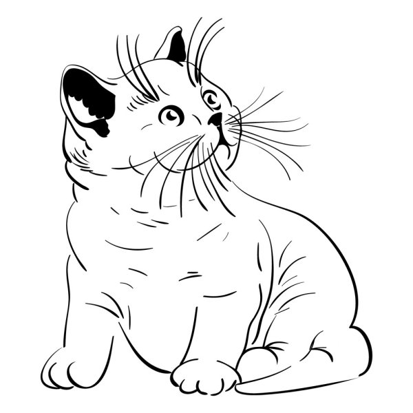 600x600 Keywords Cat, Vector Material, Cute, Line Art, Animal, Face, Line
