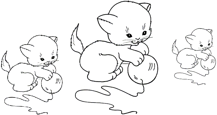 731x387 Kitten Clipart Line Drawing