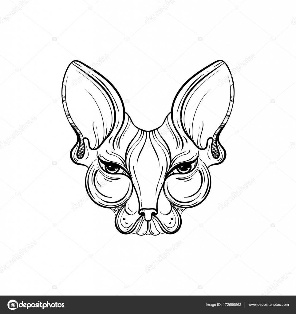 963x1024 Sphynx Cat Face Vector Illustration. Tattoo Template In Monochrome