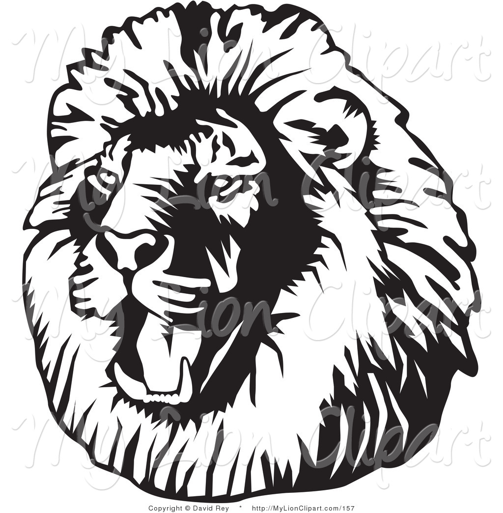 1024x1044 Lion Face Drawing Clipart