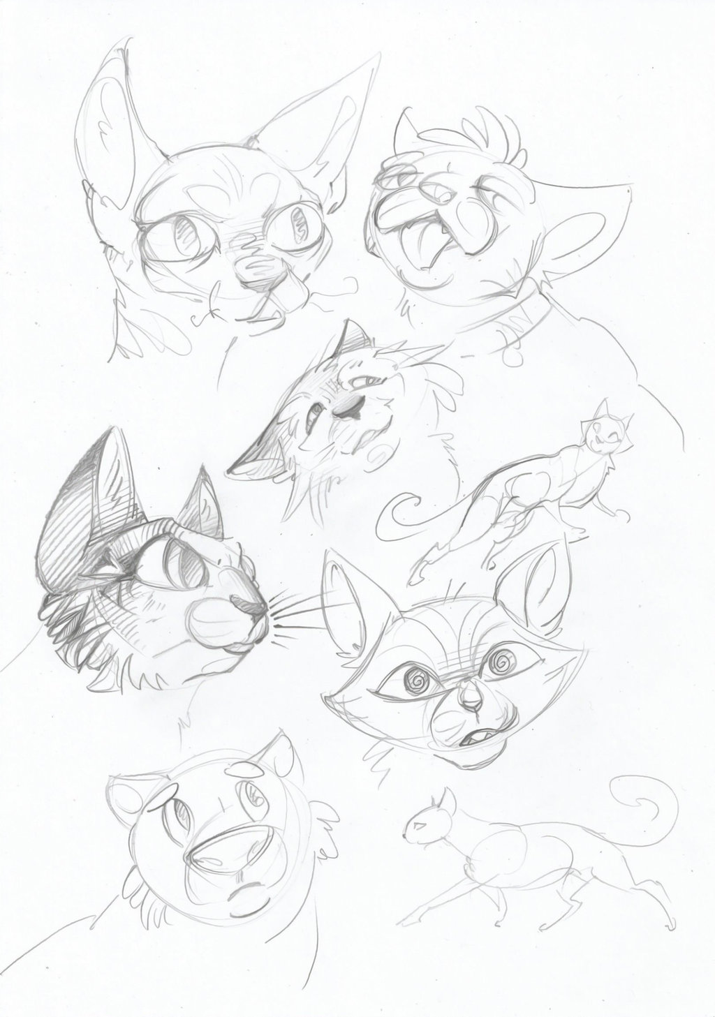 1024x1457 Cat's Faces Sketches By Taski Guru