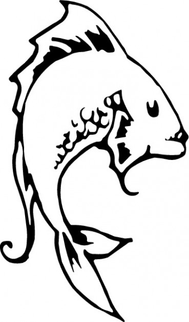 Cat Fish Drawing at GetDrawings | Free download