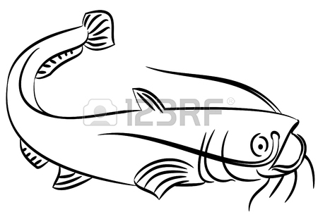 450x318 Line Drawing Of A Cat Fish On A White Background Royalty Free