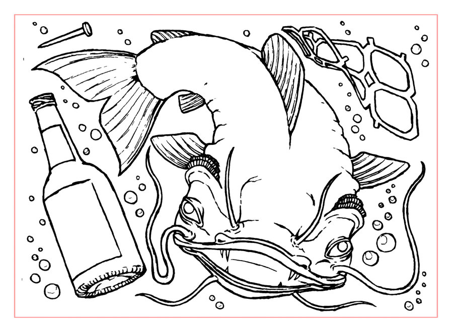 900x660 Catfish By Iamcarpetpython