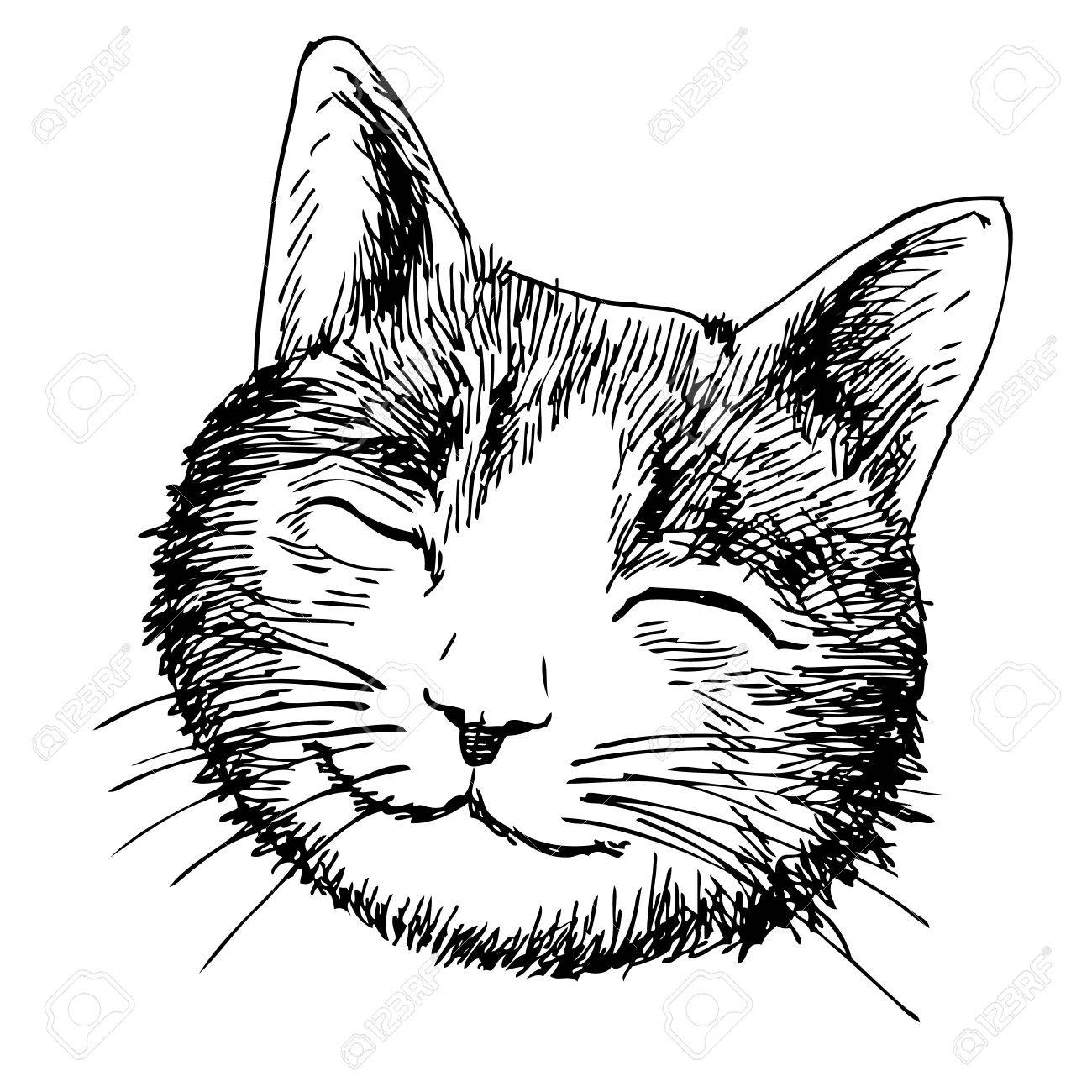 1300x1300 Freehand Sketch Of Smile Cat Head Hand Drawn On White Background