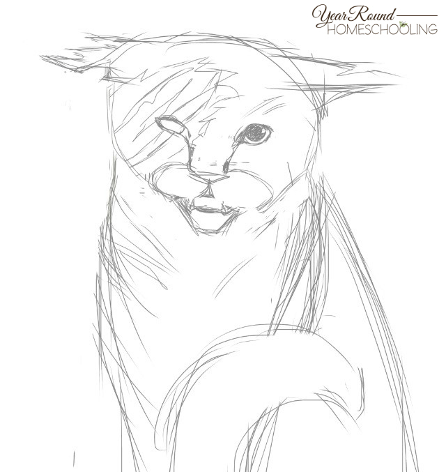 640x677 How To Draw A Scarred Cat Using Digital Media